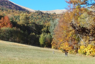 Randonnée a travers la féerie des couleurs d'automne