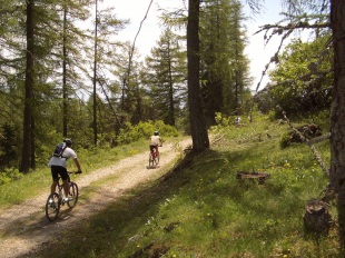 Rando vtt ou vélo électrique dans les alpes du sud