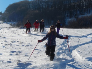 Raquettes avec un professionnel de la montagne