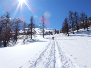 Séjour rando l'hiver dans les alpes du sud